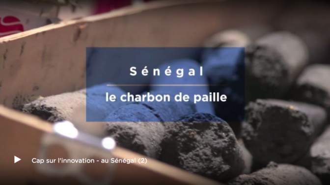ARTE WEBSERIE 5 – Le Sénégal (2)