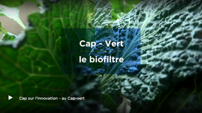 ARTE WEBSERIE 6 – Le Cap-Vert